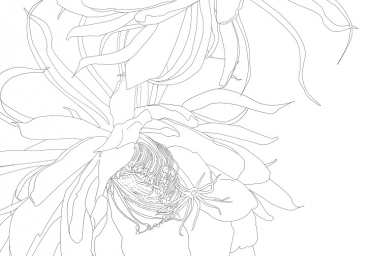10月の花「金木犀の花」をイラストで描いた無料のフレーム素材 | 📑無料ダウンロード！テンプレルン📑無料ダウンロード！テンプレルン