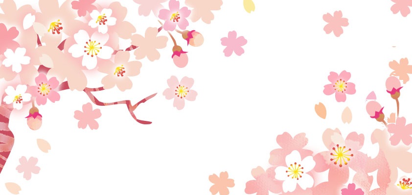 桜 A4 3月 4月 春の花