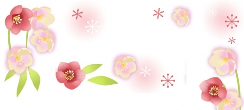 クリスマスローズ 冬 冬の花 花